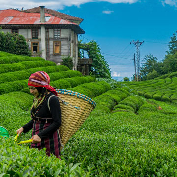 Kerala Mountain Trails